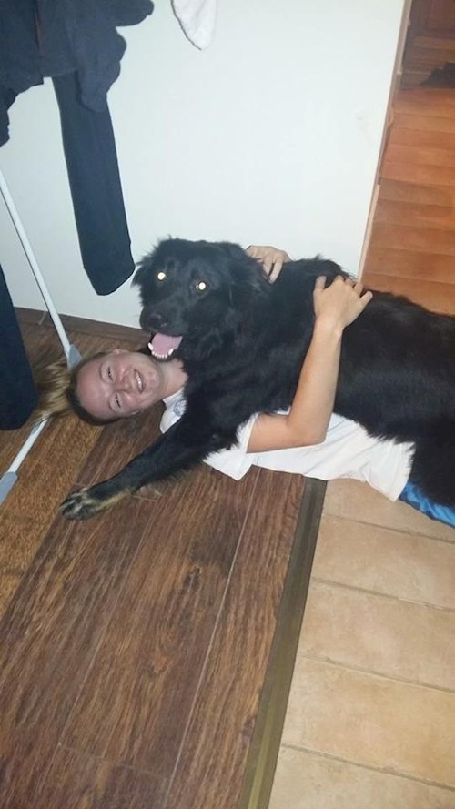 Kovács- petsitter Pécs or Pet nanny for dogs cats