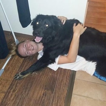 thumbnail petsitter Pécs or pet nanny for dogs cats