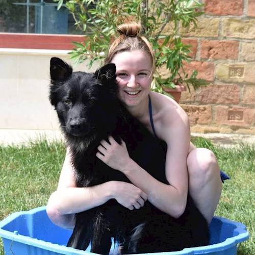 Kovács- petsitter Pécs or Pet nanny for dogs cats