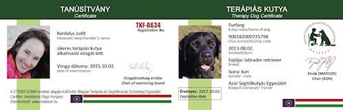 Kardalus- petsitter Budapest or Pet nanny for dogs cats 