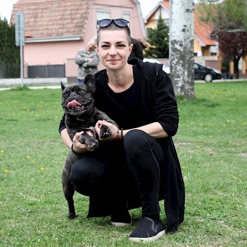 Izsák- petsitter Budapest or Pet nanny for dogs 