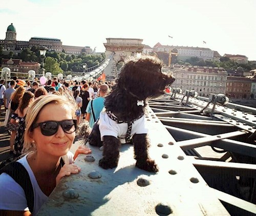 Kata- petsitter Budapest or Pet nanny for dogs cats
