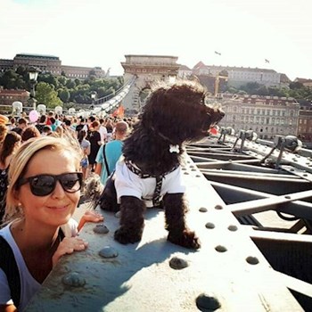 thumbnail petsitter Budapest or pet nanny for dogs cats