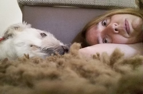 Linda- petsitter Pécs vagy Állat szitter a kutyák cicák