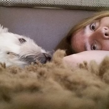 thumbnail petsitter Pécs vagy Állat szitter a kutyák cicák