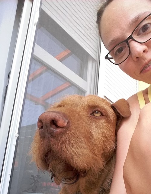 Linda- petsitter Pécs vagy Állat szitter a kutyák cicák