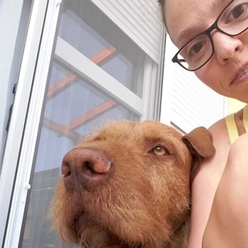 thumbnail petsitter Pécs vagy Állat szitter a kutyák cicák