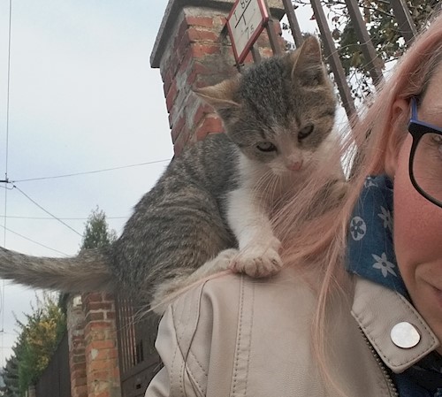 Linda- petsitter Pécs vagy Állat szitter a kutyák cicák