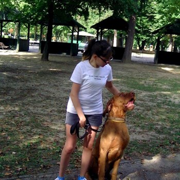 thumbnail petsitter Pécs vagy Állat szitter a kutyák cicák