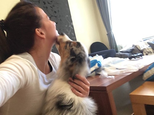 Medek- petsitter Budapest or Pet nanny for dogs cats 