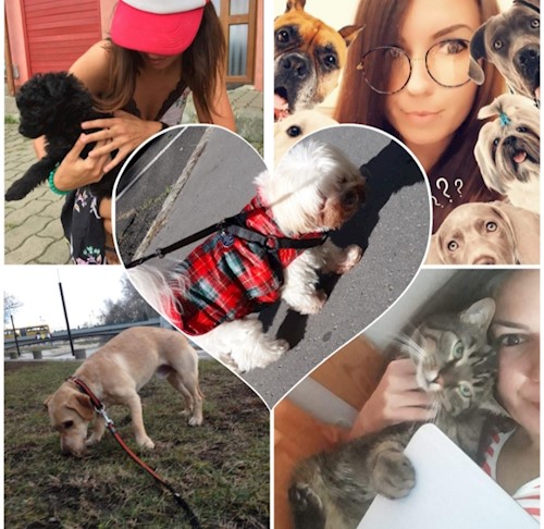 Eszter- petsitter Budapest vagy Állat szitter a kutyák cicák