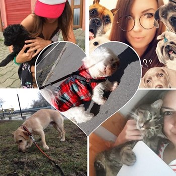 thumbnail petsitter Budapest vagy Állat szitter a kutyák cicák