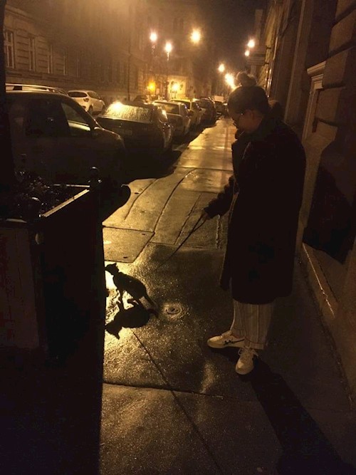 Blanka- petsitter Budapest or Pet nanny for dogs cats