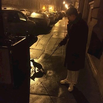 thumbnail petsitter Budapest or pet nanny for dogs cats