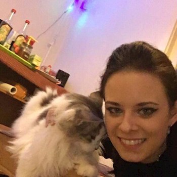  thumbnail petsitter Budapest vagy Állat szitter a kutyák cicák 