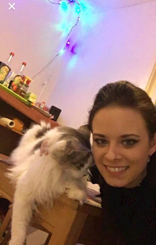 Csécsei- petsitter Budapest or Pet nanny for dogs cats 