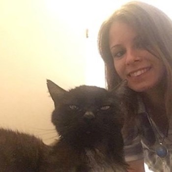  thumbnail petsitter Budapest vagy Állat szitter a kutyák cicák 