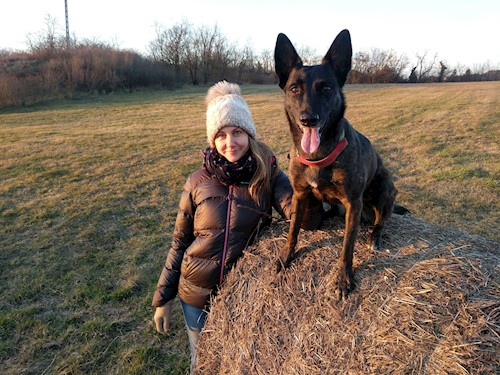 Siegler- petsitter Törökbálint or Pet nanny for dogs cats 