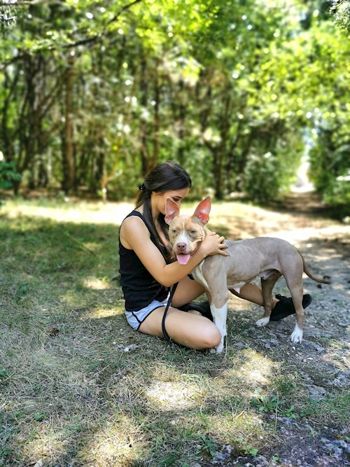 Emília- petsitter Budapest or Pet nanny for dogs cats 