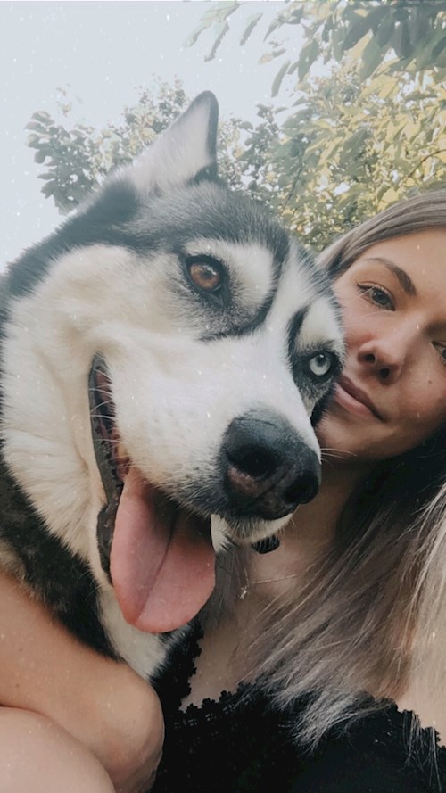 Ági- petsitter Budapest vagy Állat szitter a kutyák cicák