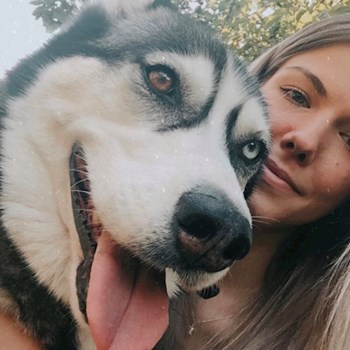 thumbnail petsitter Budapest vagy Állat szitter a kutyák cicák