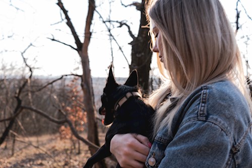 Ági- petsitter Budapest vagy Állat szitter a kutyák cicák