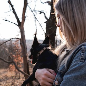 thumbnail petsitter Budapest vagy Állat szitter a kutyák cicák