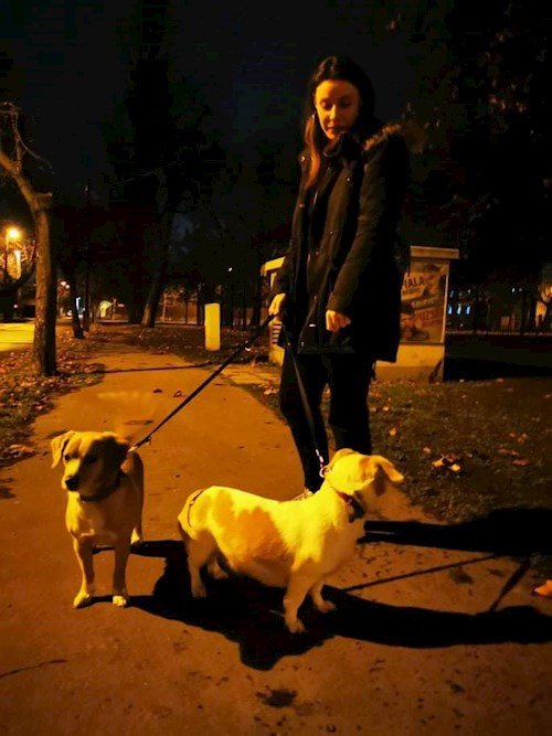 Pataki- petsitter Budapest or Pet nanny for dogs cats 
