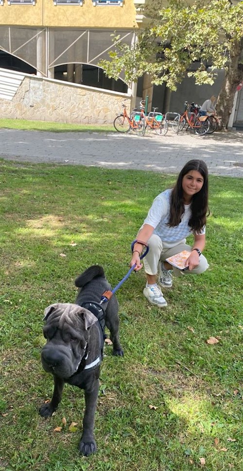 Malinda- petsitter Budapest vagy Állat szitter a kutyák cicák