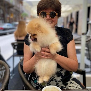 thumbnail petsitter Budapest vagy Állat szitter a kutyák cicák