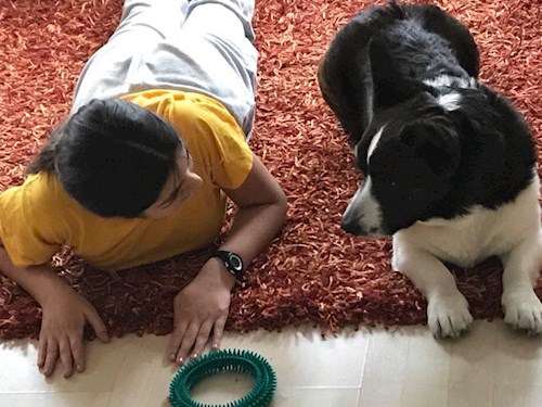 Malinda- petsitter Budapest vagy Állat szitter a kutyák cicák