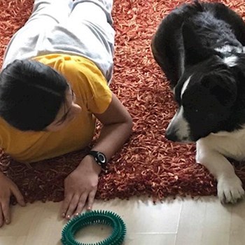 thumbnail petsitter Budapest vagy Állat szitter a kutyák cicák