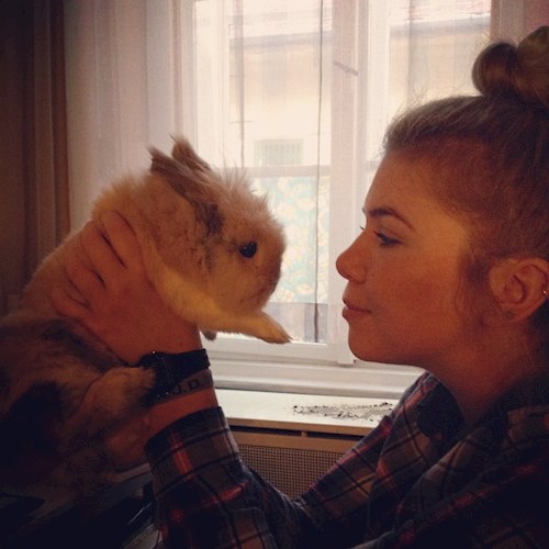 Hekler- petsitter Budapest vagy Állat szitter a kutyák cicák 