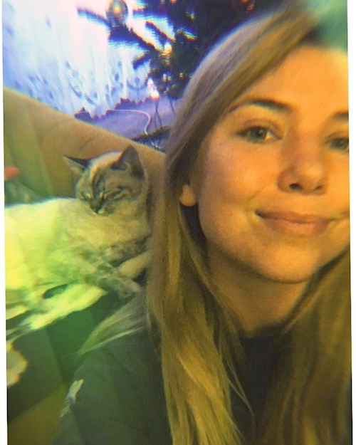 Hekler- petsitter Budapest vagy Állat szitter a kutyák cicák 