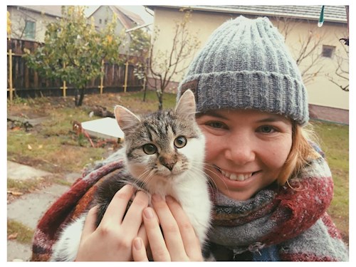 Hekler- petsitter Budapest vagy Állat szitter a kutyák cicák 