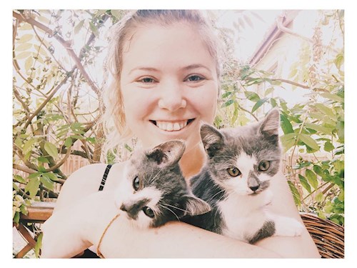 Hekler- petsitter Budapest vagy Állat szitter a kutyák cicák 