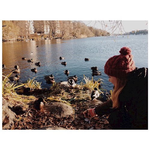 Hekler- petsitter Budapest vagy Állat szitter a kutyák cicák 