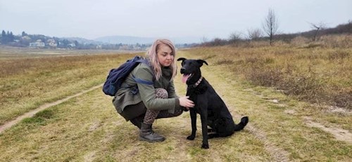 Vadász- petsitter Budapest or Pet nanny for dogs 