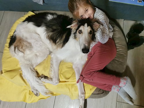 Jeannette- petsitter  or Pet nanny for dogs 