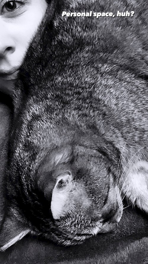 Diána- petsitter Budapest or Pet nanny for dogs cats