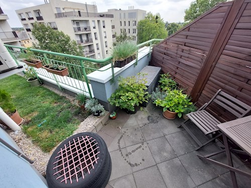 Kata- petsitter Budapest or Pet nanny for dogs cats