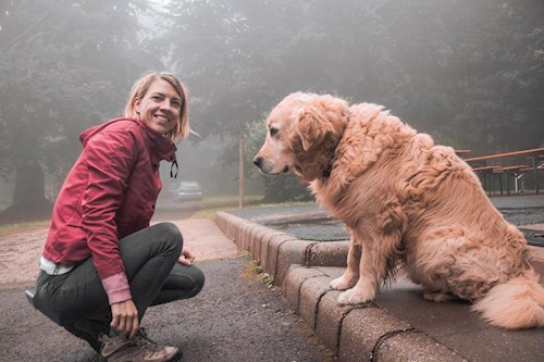 Tóth- petsitter Budapest or Pet nanny for dogs cats