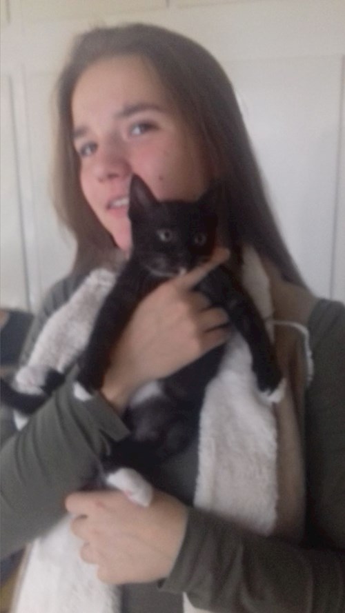 Szabó- petsitter Szeged vagy Állat szitter a kutyák cicák