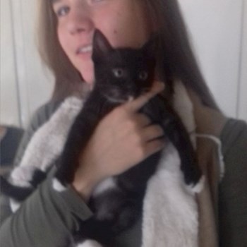 thumbnail petsitter Szeged vagy Állat szitter a kutyák cicák