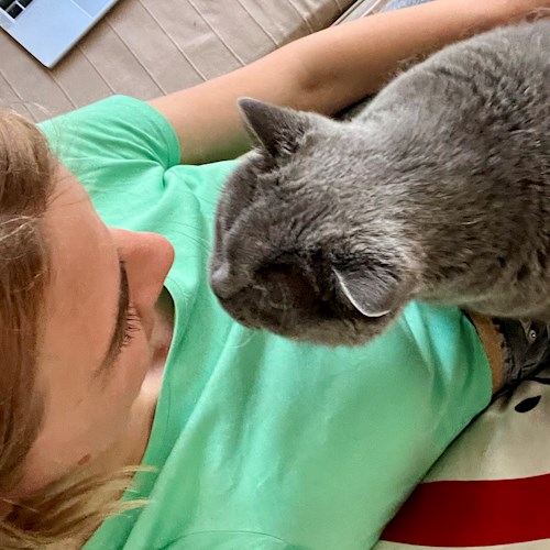 Tóth- petsitter Budapest or Pet nanny for dogs cats