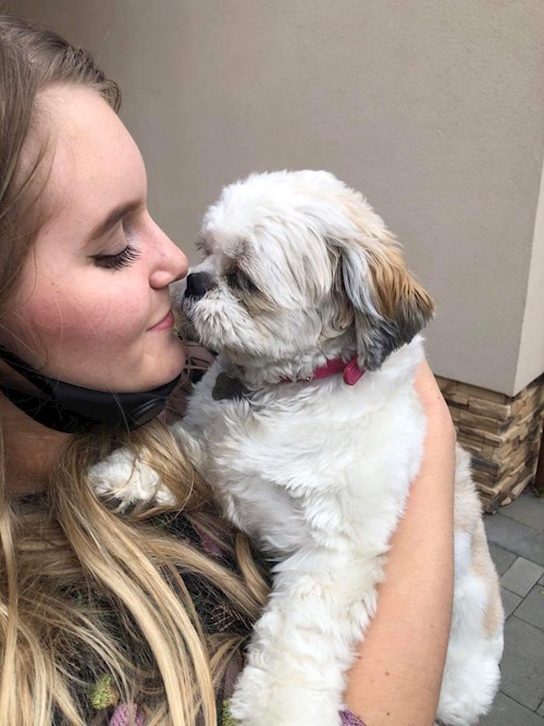 Fucskó- petsitter Debrecen vagy Állat szitter a kutyák cicák