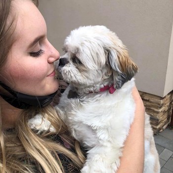 thumbnail petsitter Debrecen vagy Állat szitter a kutyák cicák