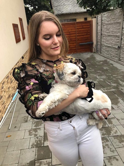 Fucskó- petsitter Debrecen or Pet nanny for dogs cats 