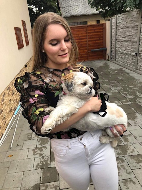 Fucskó- petsitter Debrecen vagy Állat szitter a kutyák cicák