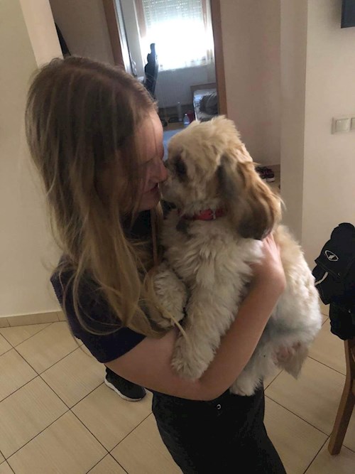 Fucskó- petsitter Debrecen vagy Állat szitter a kutyák cicák